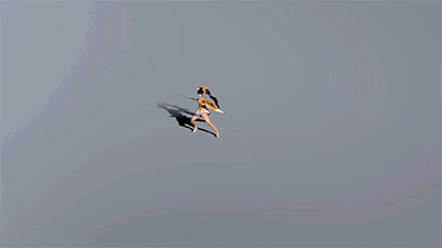 0c471a4187514e1ea23d3928bd39028f-517096b3d09382d2d370c86dcd363fe5-hd.gif