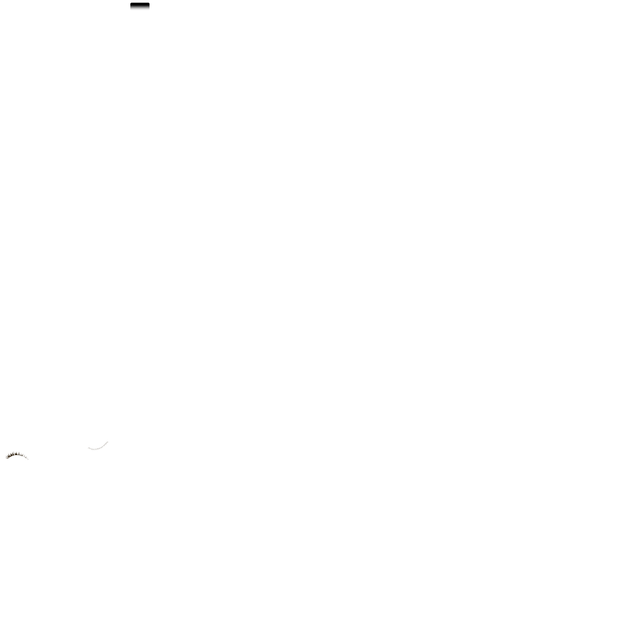 CT_Z31_01_COLOR.png