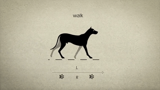 6409d6c7gy1fgkk4livr9g20f008gnpd.gif