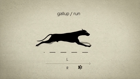 6409d6c7gy1fgkk62m3a9g20f008ge81.gif
