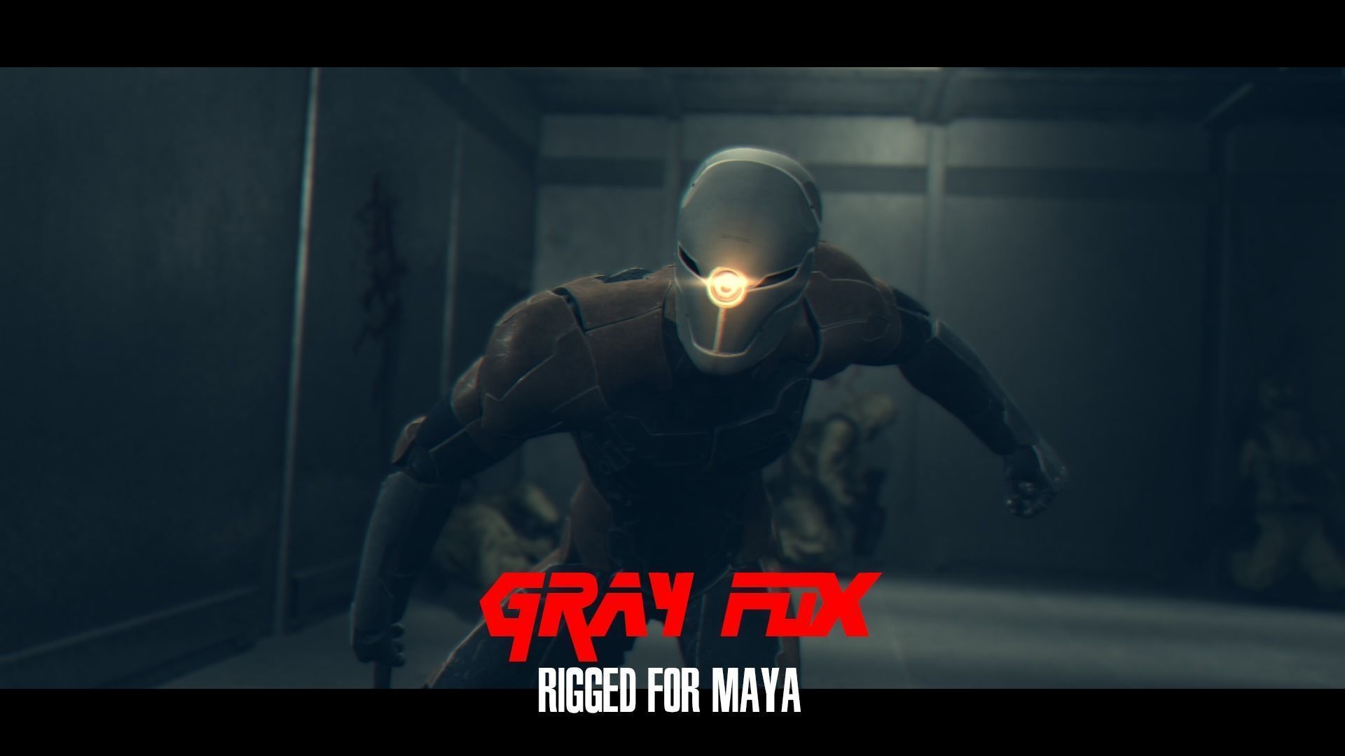 gray-fox-character-rigged-in-maya-3d-model-low-poly-rigged.jpg