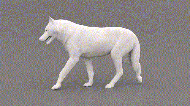 walk_wolf_cm_1.0~1.gif