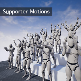 Supporter Motions.png