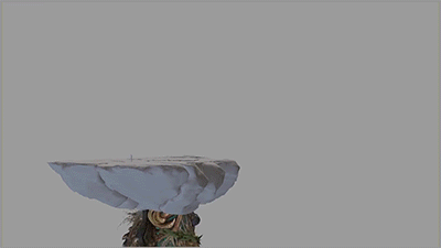7.gif