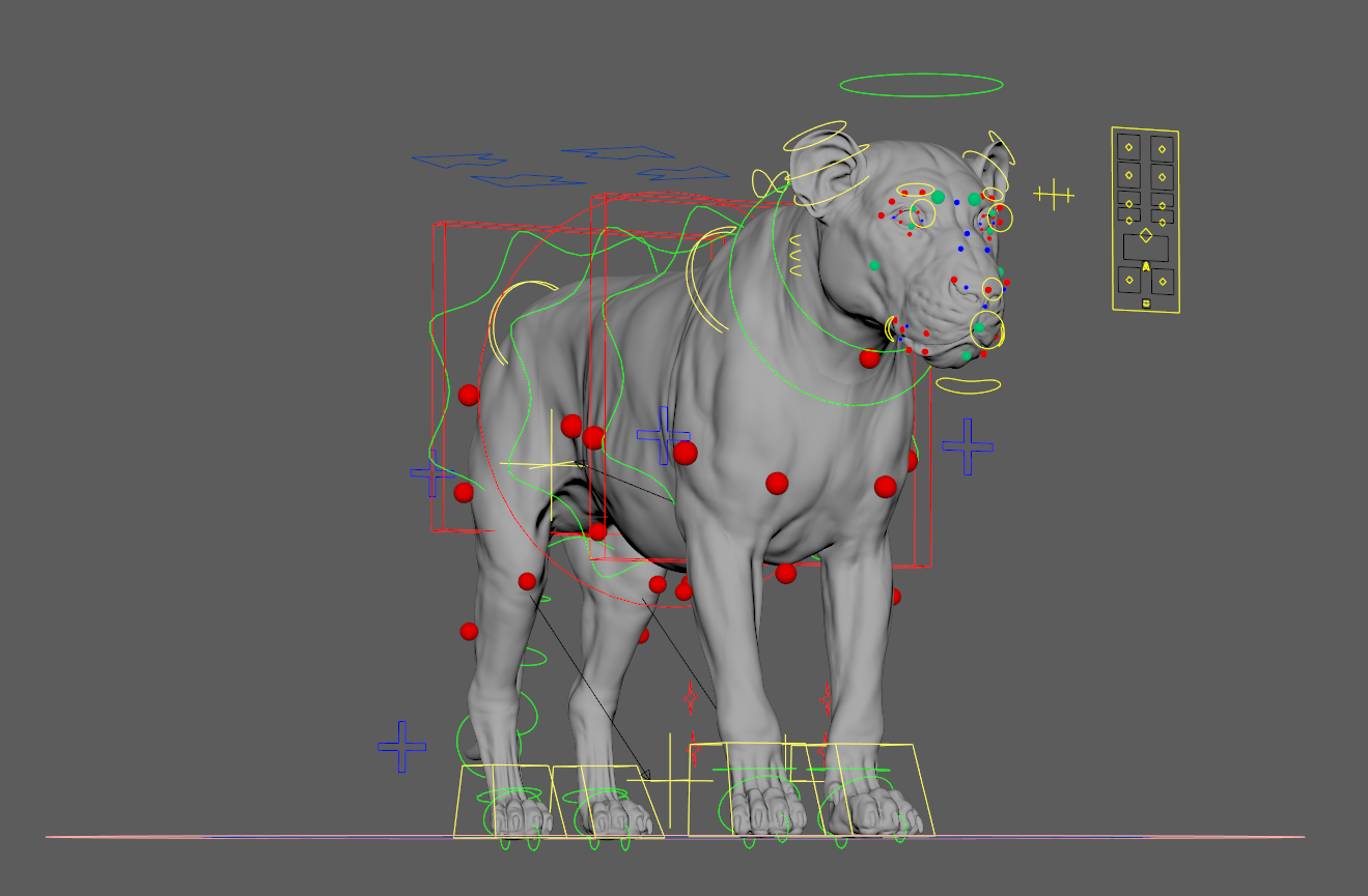Lioness_Rig.png