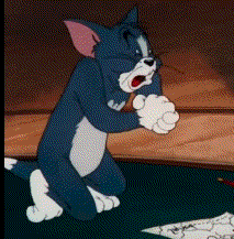 IMG_3800.GIF