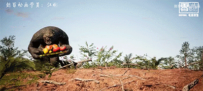 3.gif