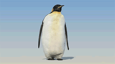 04.gif