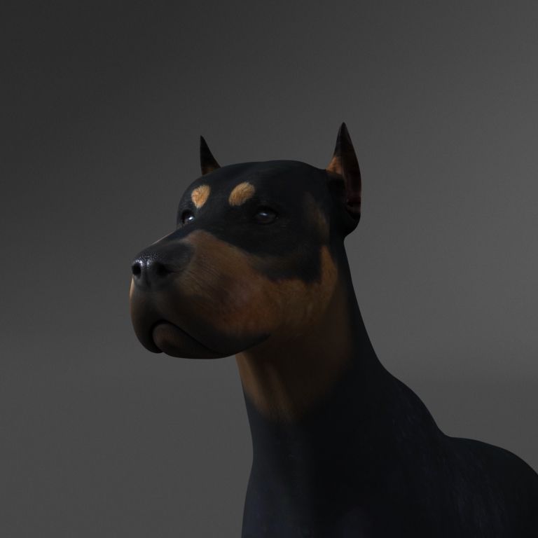 DogRig_ai.jpg