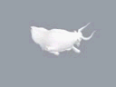 4.gif