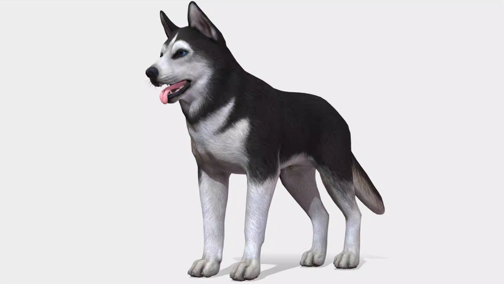 1.png