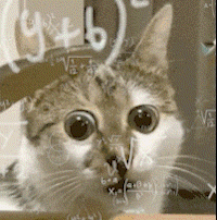 223750xlzwelslnjzh0eh0.gif