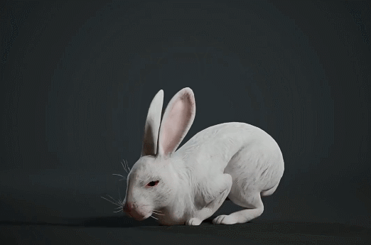 2.gif