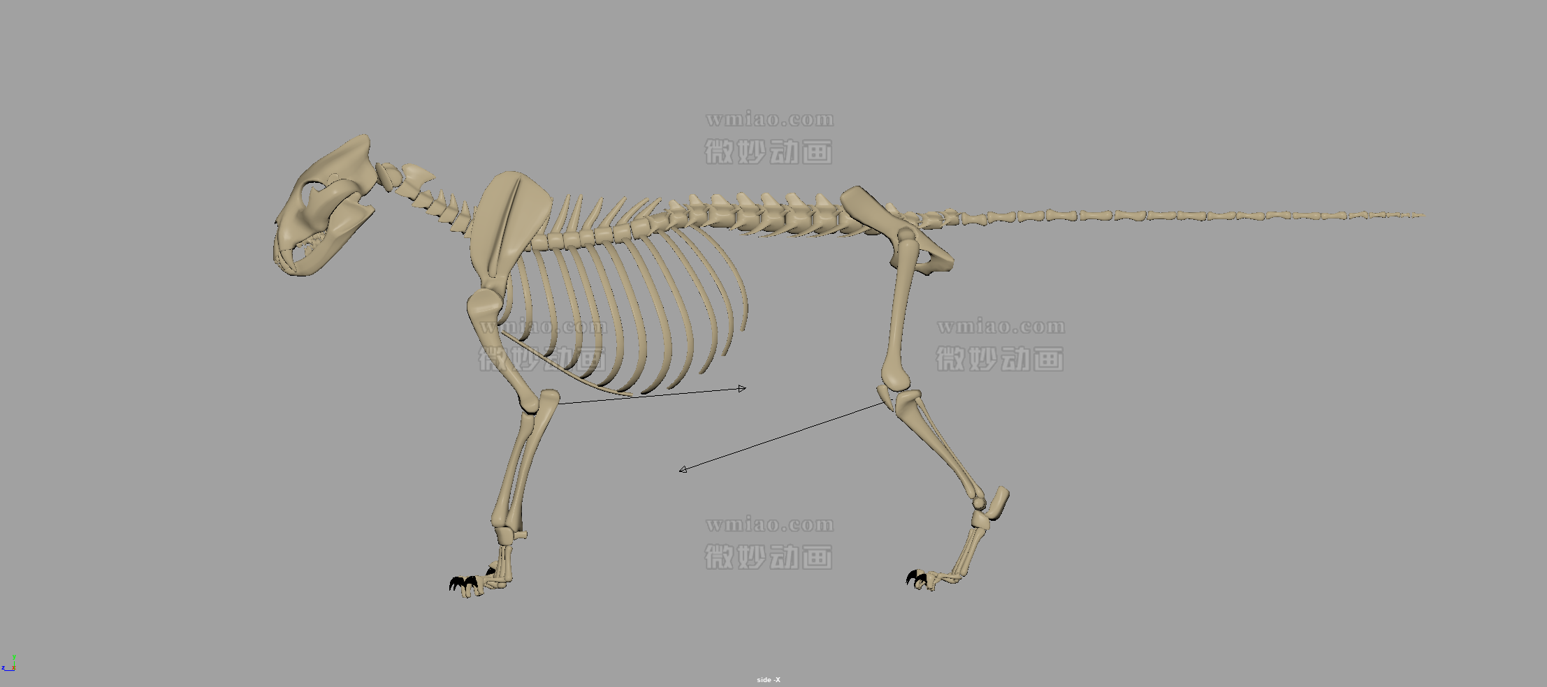 data-sy (4).png