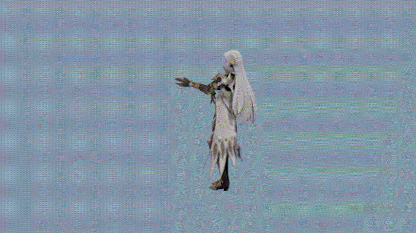 NP114 fbx test_preview 00_00_00-00_00_30.gif