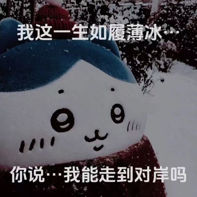 c3f3eff6674fb37fd011a696c346182f.jpg