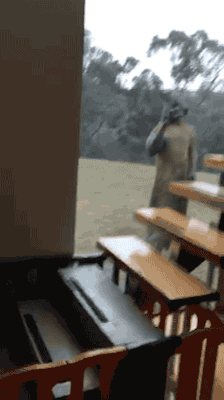 �������̽��.gif
