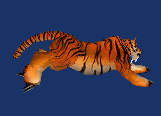 老虎奔跑GIF图片