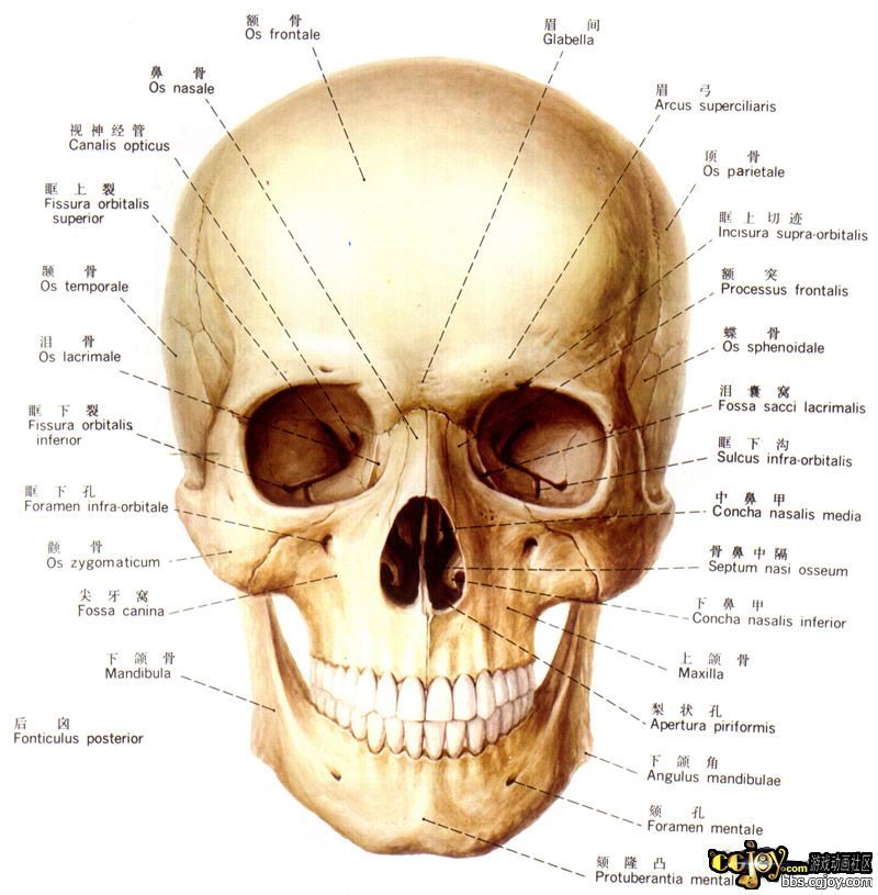 1671437-2-embed.jpg
