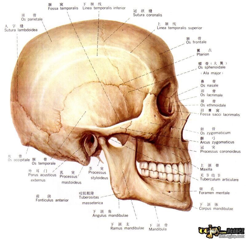 1671440-3-embed.jpg