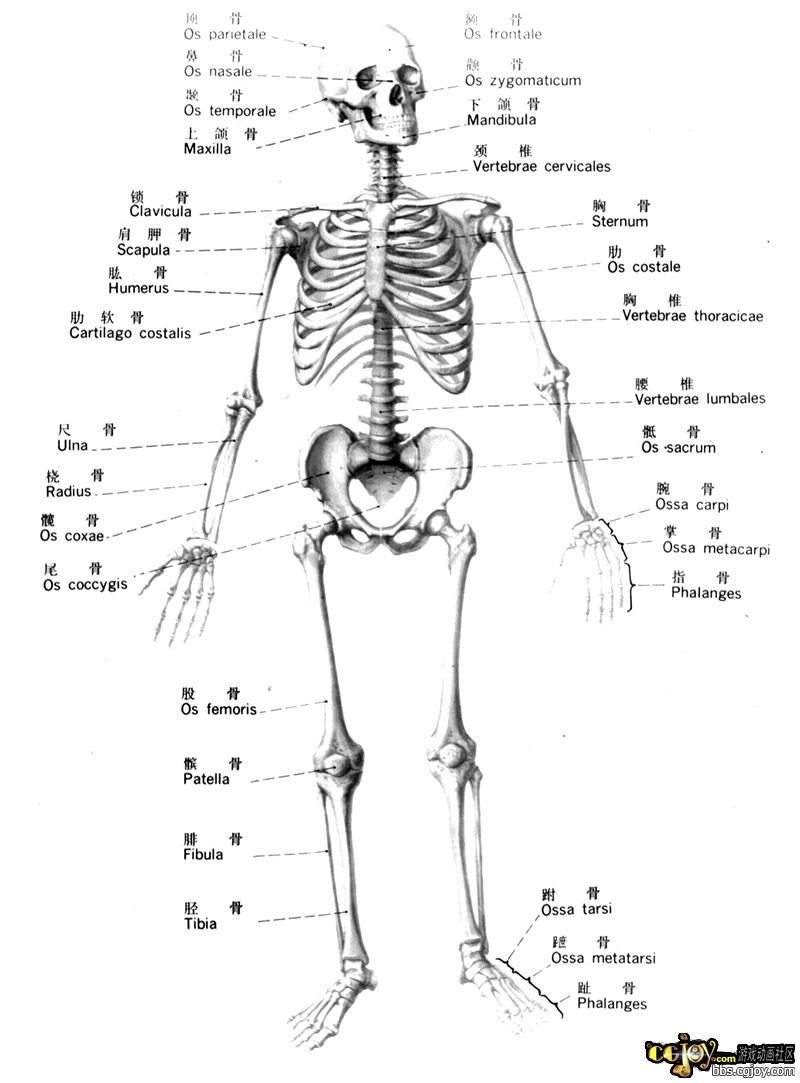 1671425--embed.jpg