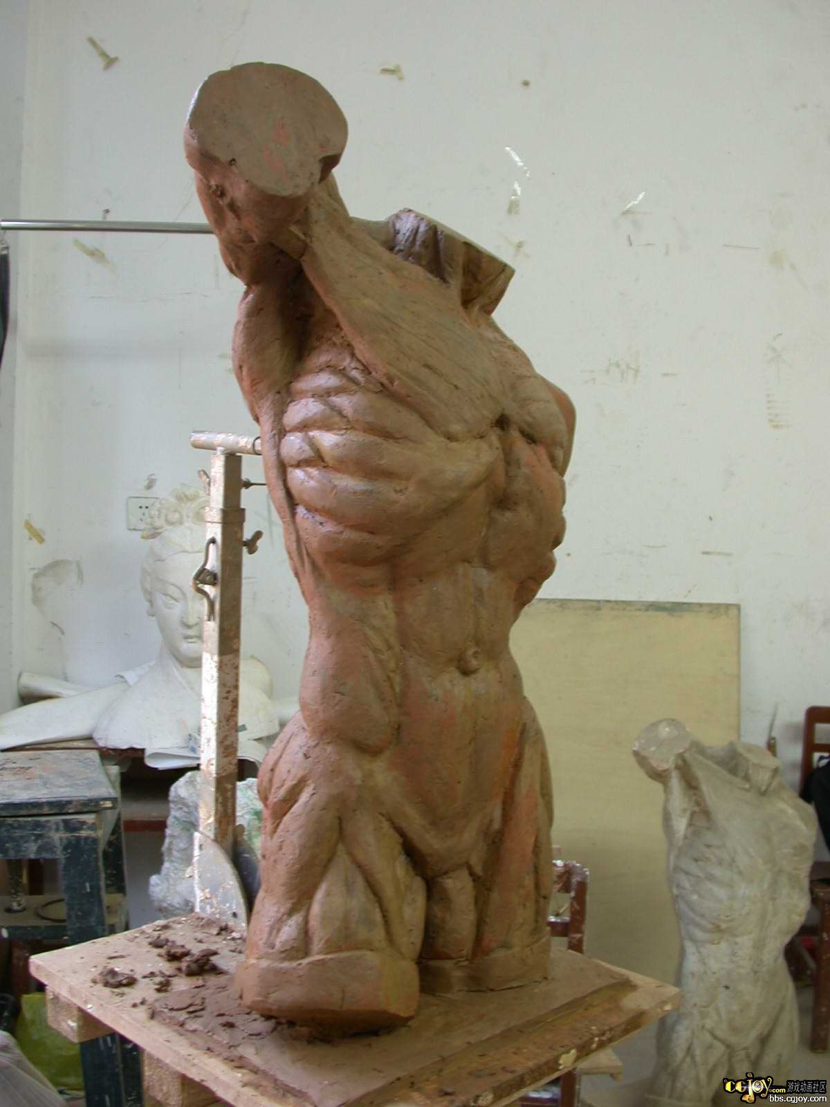 人体雕塑结构面图片