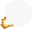 21_34916_bcbd6ecab49b87e.gif