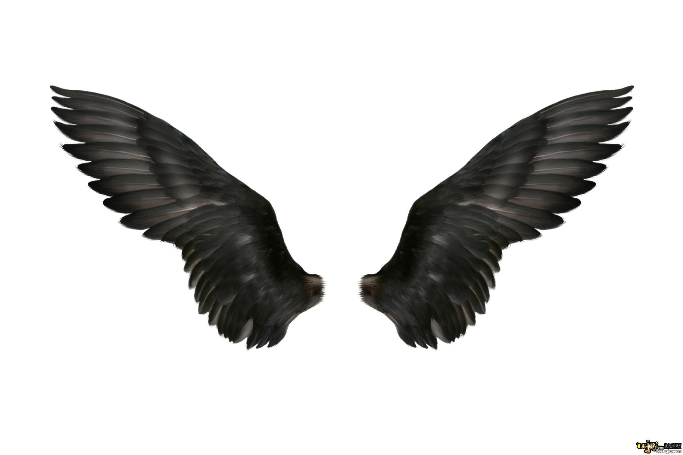 个人收藏的翅膀 - 特效贴图 - cgjoy论坛