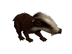 20100422_6b42f59108a50ea97e1drA6WdMCrrPWa.gif