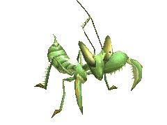 20100422_b4784d1aab1faffbbc738vGj4Q43qpMm.gif