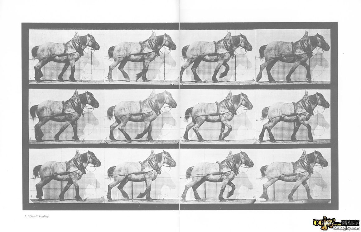 Muybridge[1].Horses.and.other.animals.in.jpg