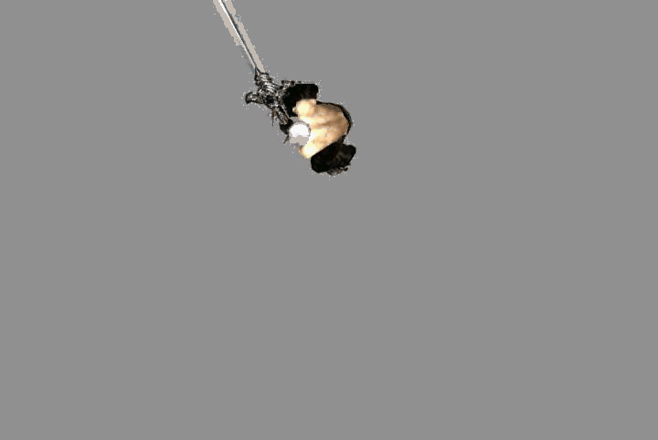 ն~2.gif