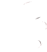 1001201804c481480ee640fd74.gif