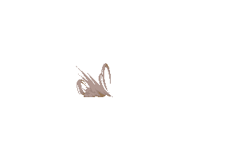 10012116406a0b9b010e875d83.gif