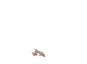 100121164041acc6a25686c4a1.gif