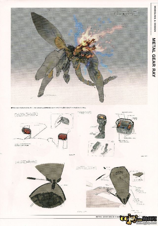 123.jpg