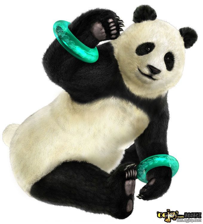 t5dr-panda.jpg