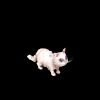 014720xxvwys6cg6xw0ggy.gif