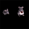 014721jf5m22jz428lf12a.gif