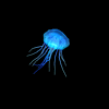 014722p1yyyzxpyecdmwqr.gif