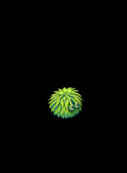 0147236ipe4o366e6o6mz6.gif