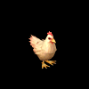 014718ydeh6likspy4hpdf.gif