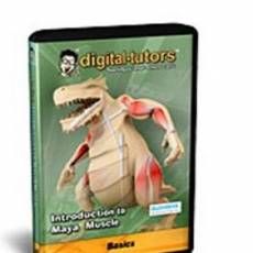 Ƥģ̳(Digital Tutors: Introduction to Maya Muscle