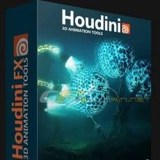 HoudiniӰЧV13.0.447 WIN32 64