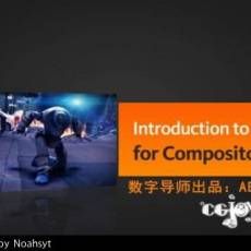 AE׺ϼ̳ Introduction to After Effects for Compositors