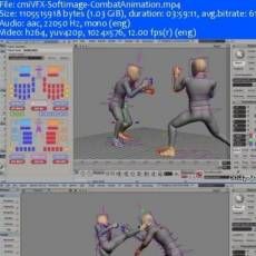 񶷶 cmiVFX Softimage Combat Animation