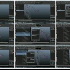 Maya ɫ--ʹSDKֱ1/4- Rigging the Hand with SDK
