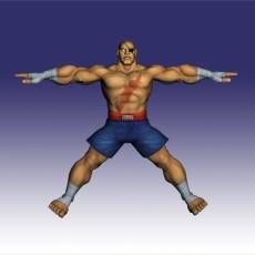 ͷ ְ Street Fighter IV ɳأSagat