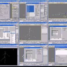 Particle Flow with Biped㶯˶