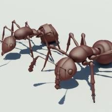 Ant  ģ